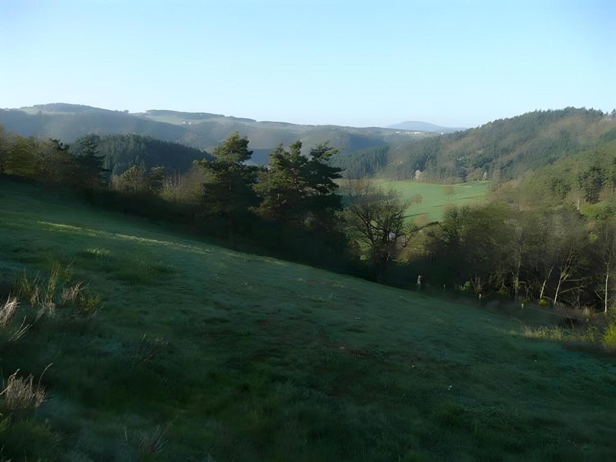 Gite La Grange De L'Effraie Villa Beauzac Kültér fotó